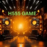 H555 Game