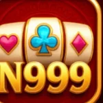 N999 Game