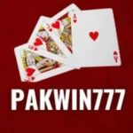 PAK WIN 777 GAME